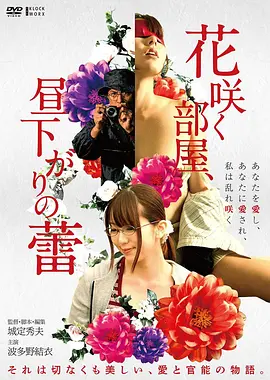 逆风飞行 剧情电影免费播放